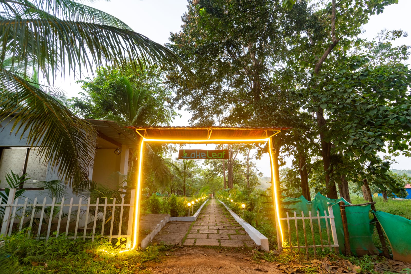 WhatsApp Image 2024-12-14 at 3.54.23 PM (1)